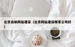 徐州北京自制网站建设（北京网站建设哪家公司好）