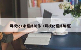 徐州可视化+小程序制作（可视化程序编程）